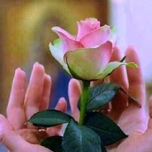 Meet your Posher, Claudia